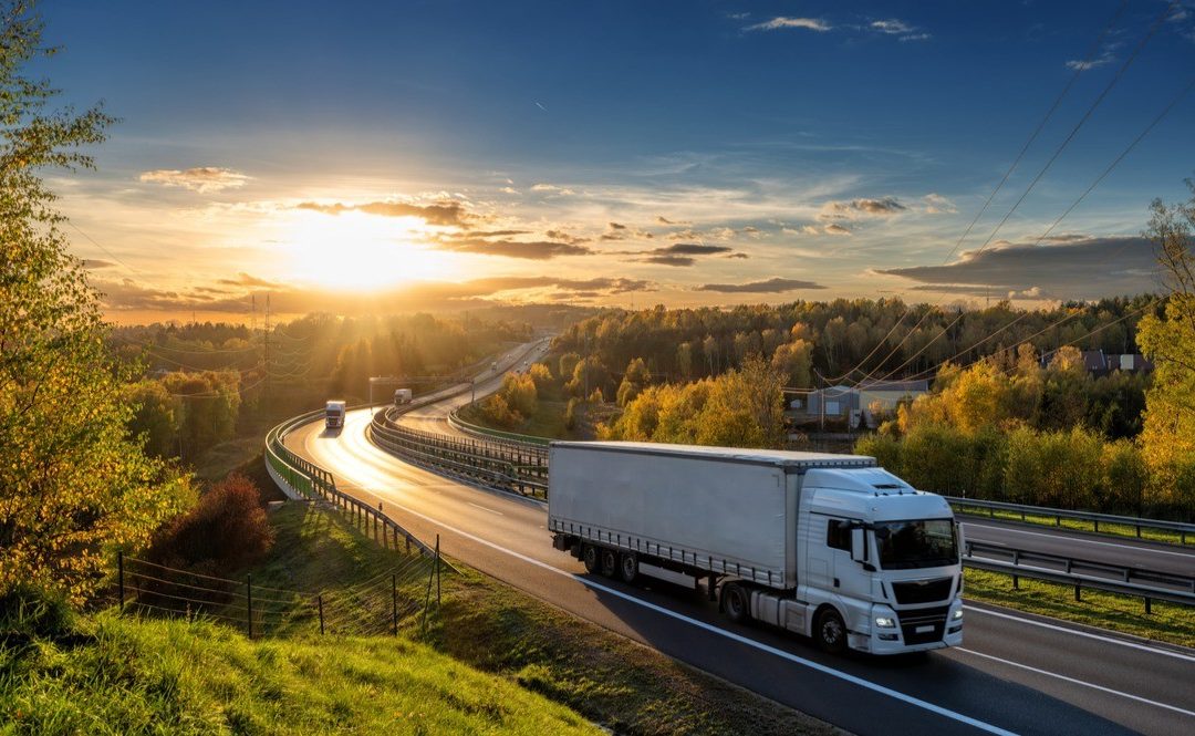 Servei de Transport Internacional